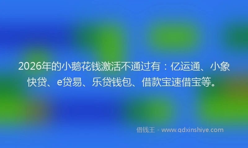 2026年的小鹅花钱激活不通过有：亿运通、小象快贷、e贷易、乐贷钱包、借款宝速借宝等。