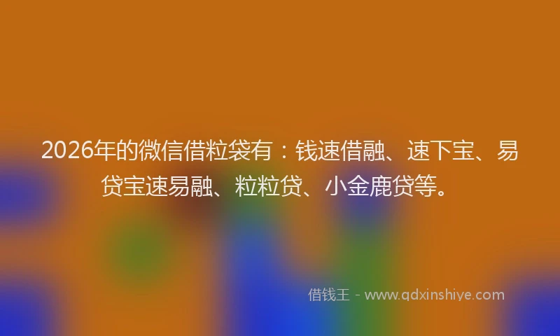 2026年的微信借粒袋有：钱速借融、速下宝、易贷宝速易融、粒粒贷、小金鹿贷等。