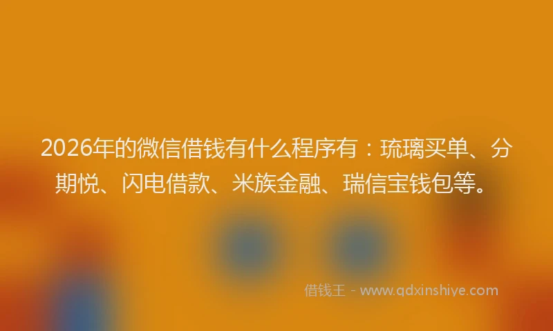 2026年的微信借钱有什么程序有：琉璃买单、分期悦、闪电借款、米族金融、瑞信宝钱包等。