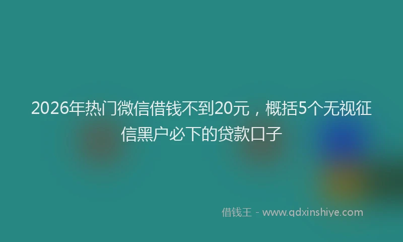 2026年热门微信借钱不到20元,概括5个无视征信黑户必下的贷款口子