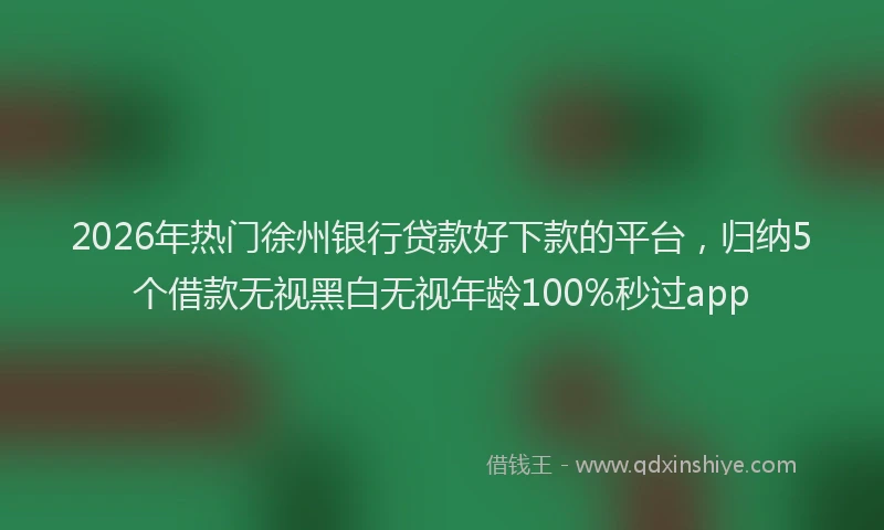 2026年热门徐州银行贷款好下款的平台，归纳5个借款无视黑白无视年龄100%秒过app