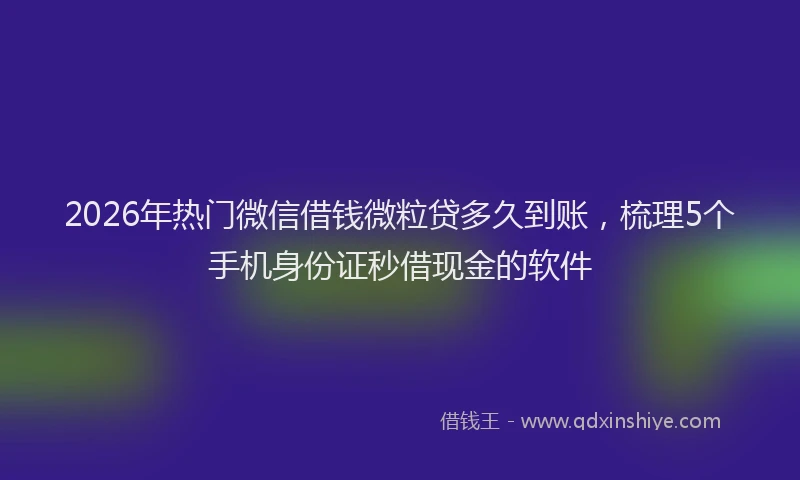 2026年热门微信借钱微粒贷多久到账，梳理5个手机身份证秒借现金的软件