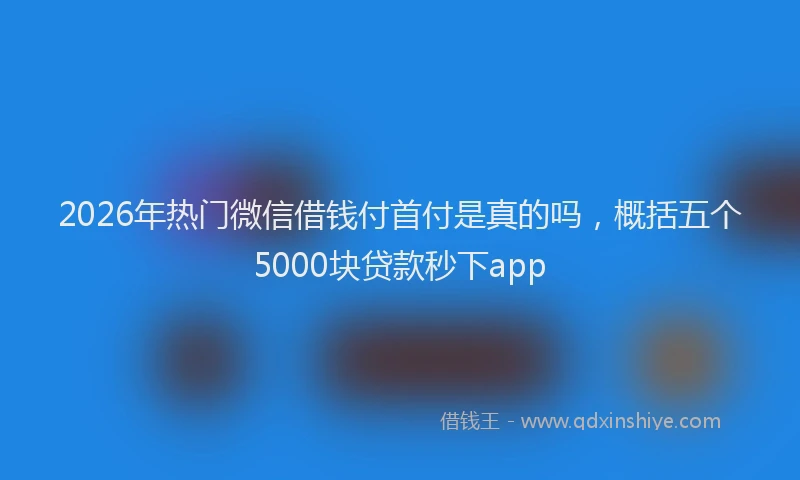 2026年热门微信借钱付首付是真的吗，概括五个5000块贷款秒下app