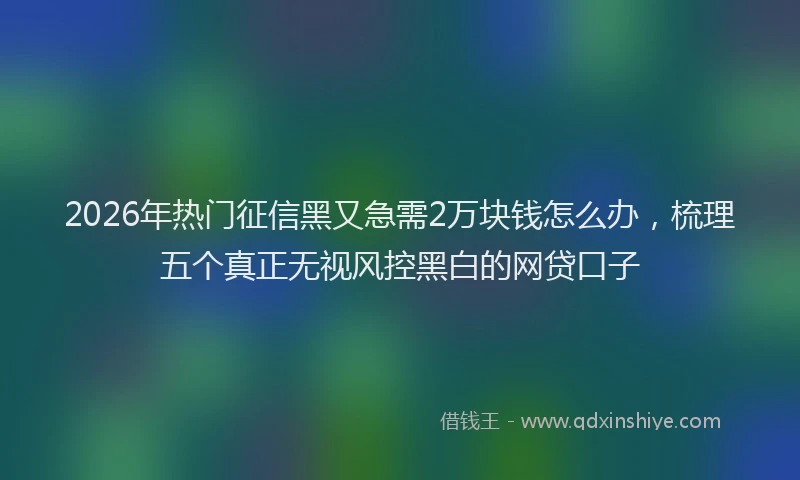 2026年热门征信黑又急需2万块钱怎么办，梳理五个真正无视风控黑白的网贷口子