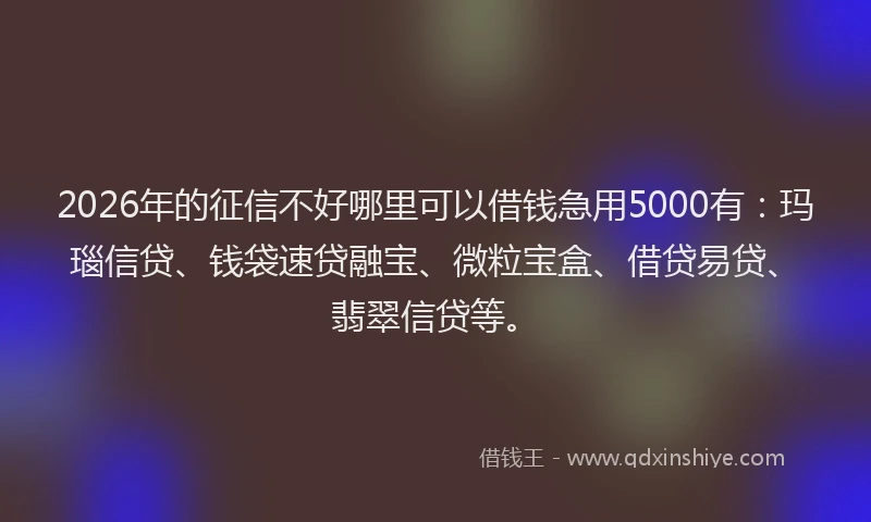 2026年的征信不好哪里可以借钱急用5000有：玛瑙信贷、钱袋速贷融宝、微粒宝盒、借贷易贷、翡翠信贷等。