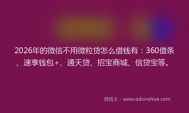 2026年的微信不用微粒贷怎么借钱有：360借条、速享钱包+、通天贷、招宝商城、信贷宝等。