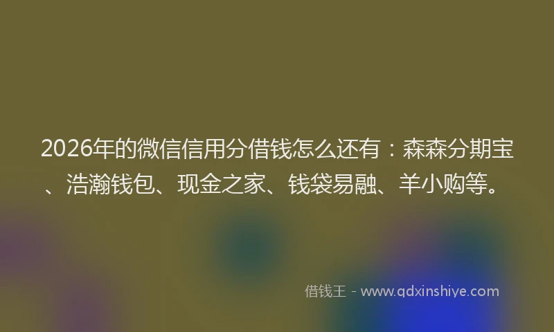 2026年的微信信用分借钱怎么还有：森森分期宝、浩瀚钱包、现金之家、钱袋易融、羊小购等。