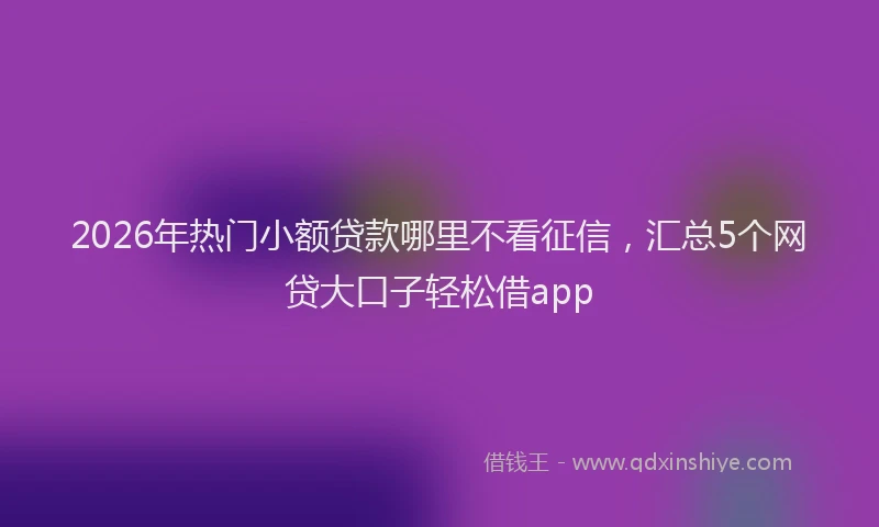 2026年热门小额贷款哪里不看征信，汇总5个网贷大口子轻松借app