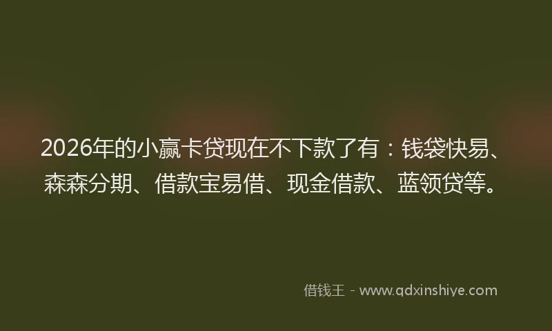 2026年的小赢卡贷现在不下款了有：钱袋快易、森森分期、借款宝易借、现金借款、蓝领贷等。