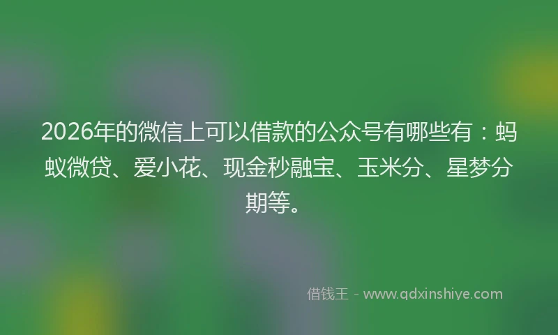 2026年的微信上可以借款的公众号有哪些有:蚂蚁微贷、爱小花、现金秒融宝、玉米分、星梦分期等。
