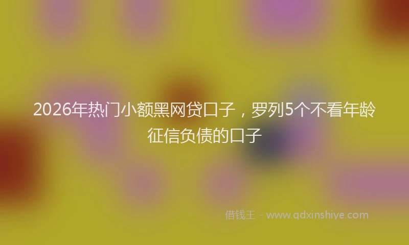 2026年热门小额黑网贷口子，罗列5个不看年龄征信负债的口子