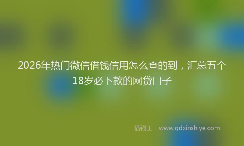 2026年热门微信借钱信用怎么查的到,汇总五个18岁必下款的网贷口子