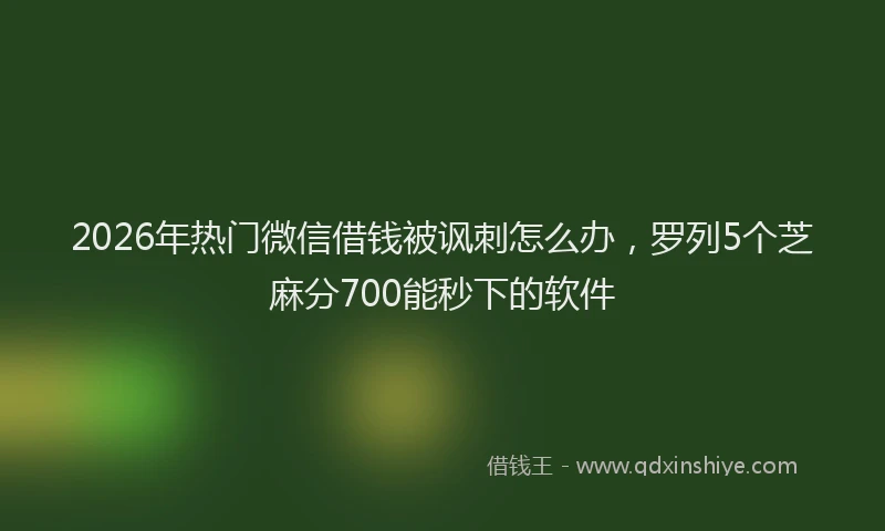 2026年热门微信借钱被讽刺怎么办,罗列5个芝麻分700能秒下的软件