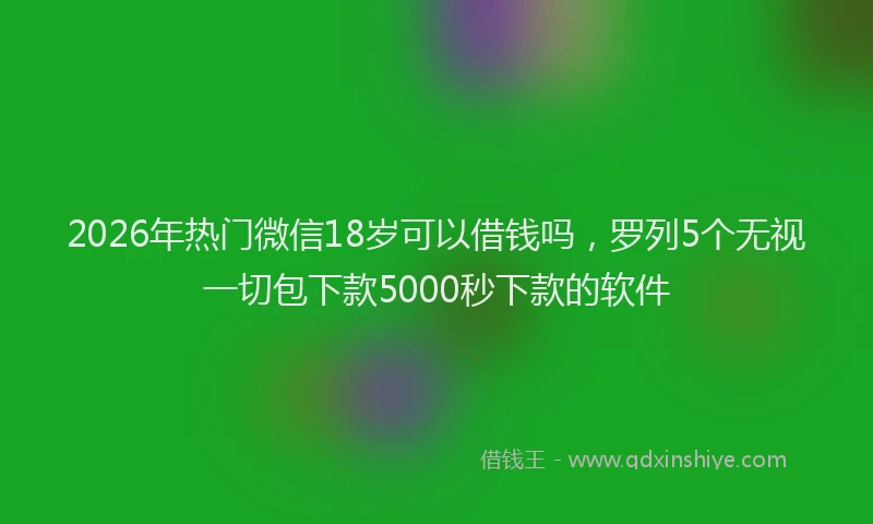 2026年热门微信18岁可以借钱吗,罗列5个无视一切包下款5000秒下款的软件