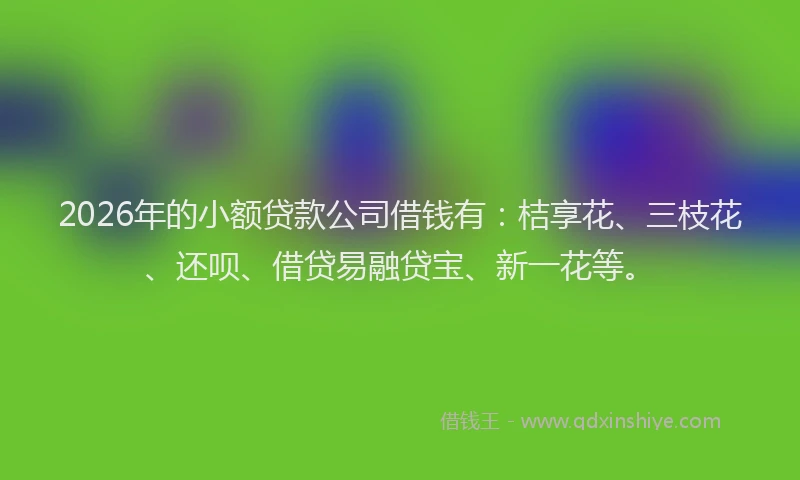 2026年的小额贷款公司借钱有:桔享花、三枝花、还呗、借贷易融贷宝、新一花等。