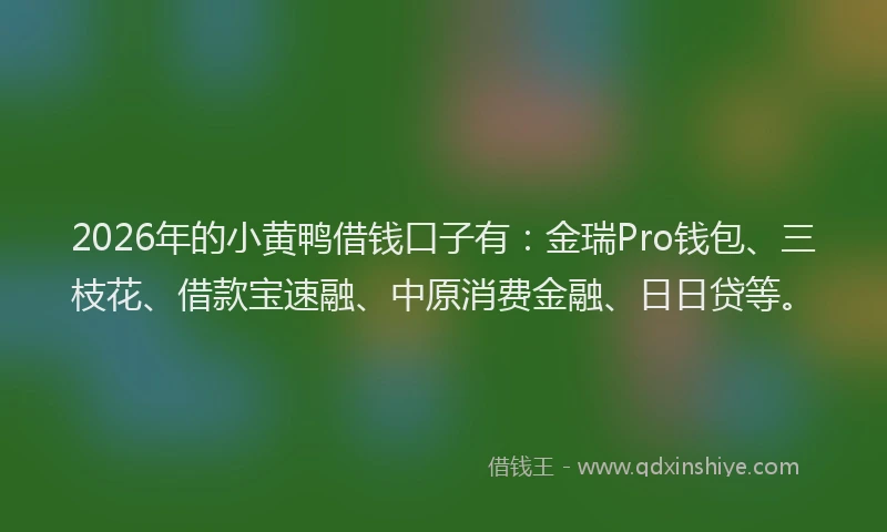 2026年的小黄鸭借钱口子有：金瑞Pro钱包、三枝花、借款宝速融、中原消费金融、日日贷等。