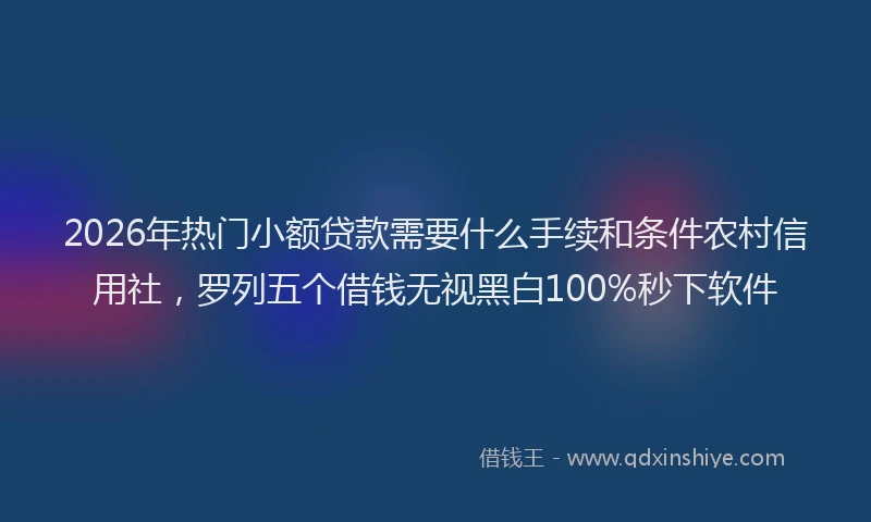 2026年热门小额贷款需要什么手续和条件农村信用社，罗列五个借钱无视黑白100%秒下软件
