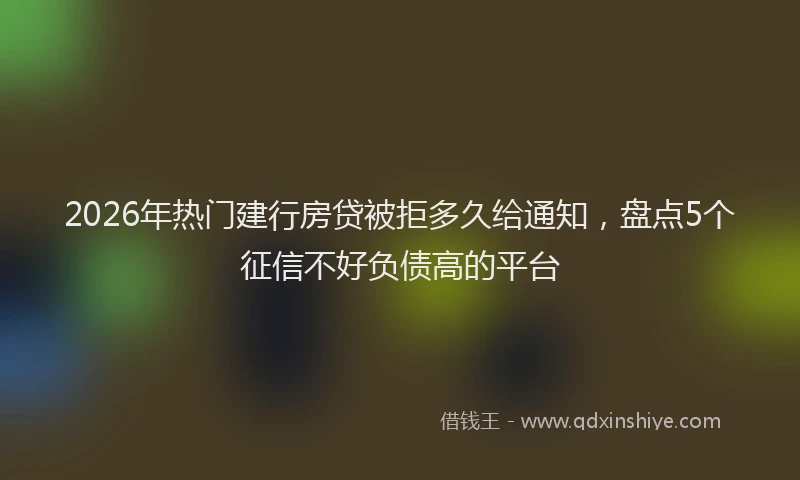 2026年热门建行房贷被拒多久给通知，盘点5个征信不好负债高的平台