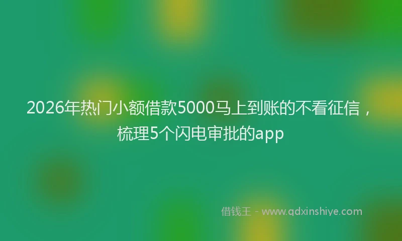 2026年热门小额借款5000马上到账的不看征信，梳理5个闪电审批的app