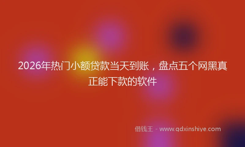 2026年热门小额贷款当天到账，盘点五个网黑真正能下款的软件