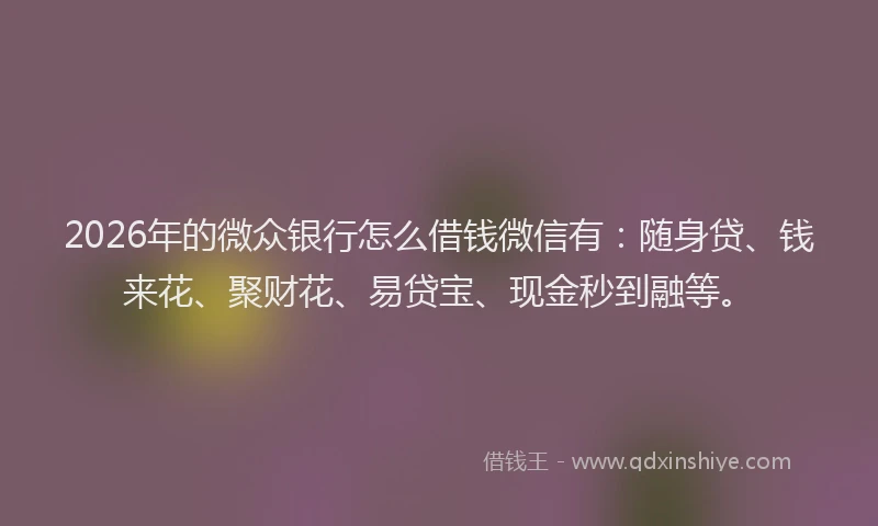2026年的微众银行怎么借钱微信有:随身贷、钱来花、聚财花、易贷宝、现金秒到融等。