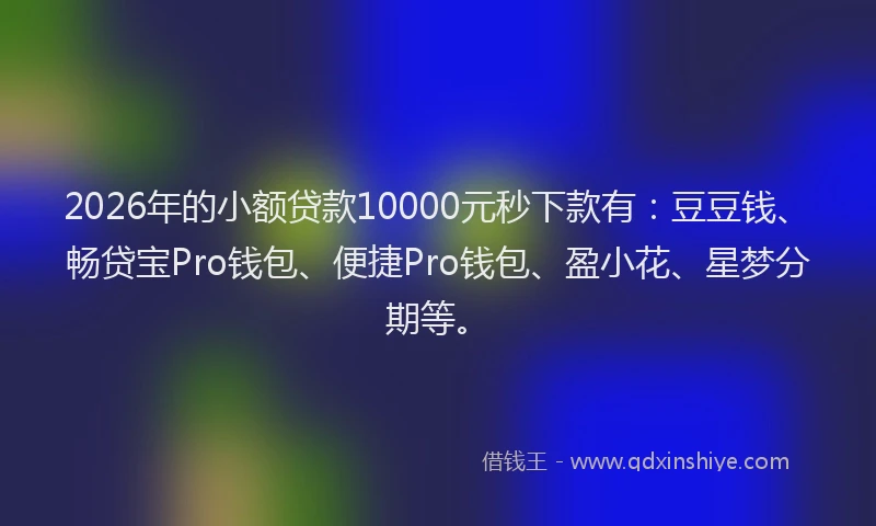 2026年的小额贷款10000元秒下款有：豆豆钱、畅贷宝Pro钱包、便捷Pro钱包、盈小花、星梦分期等。