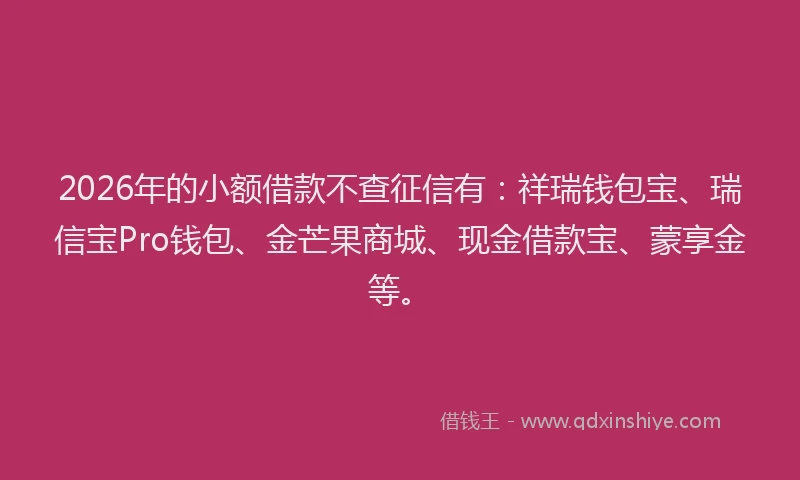 2026年的小额借款不查征信有：祥瑞钱包宝、瑞信宝Pro钱包、金芒果商城、现金借款宝、蒙享金等。