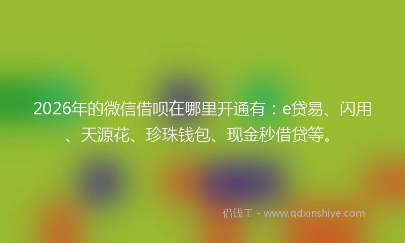 2026年的微信借呗在哪里开通有：e贷易、闪用、天源花、珍珠钱包、现金秒借贷等。