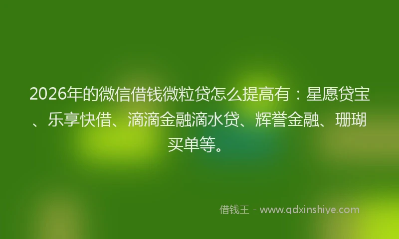 2026年的微信借钱微粒贷怎么提高有：星愿贷宝、乐享快借、滴滴金融滴水贷、辉誉金融、珊瑚买单等。