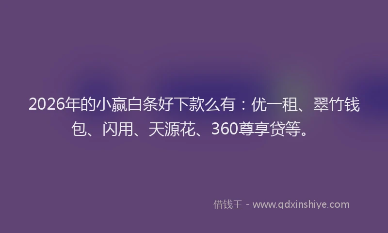 2026年的小赢白条好下款么有：优一租、翠竹钱包、闪用、天源花、360尊享贷等。