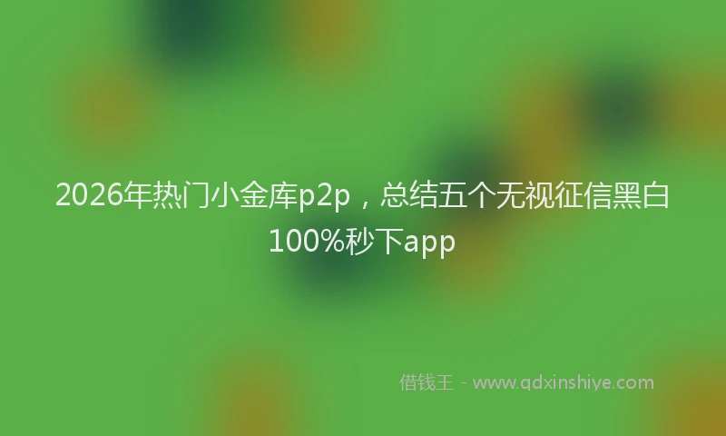 2026年热门小金库p2p，总结五个无视征信黑白100%秒下app