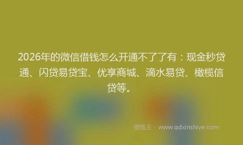 2026年的微信借钱怎么开通不了了有：现金秒贷通、闪贷易贷宝、优享商城、滴水易贷、橄榄信贷等。