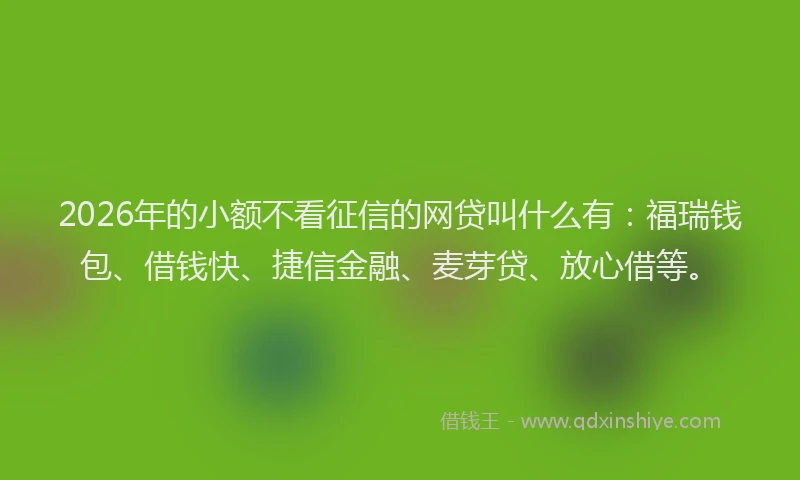 2026年的小额不看征信的网贷叫什么有：福瑞钱包、借钱快、捷信金融、麦芽贷、放心借等。