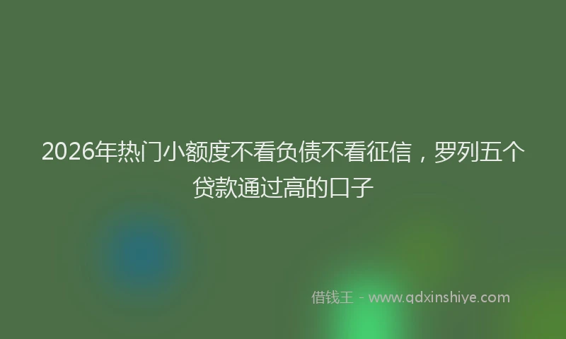 2026年热门小额度不看负债不看征信，罗列五个贷款通过高的口子