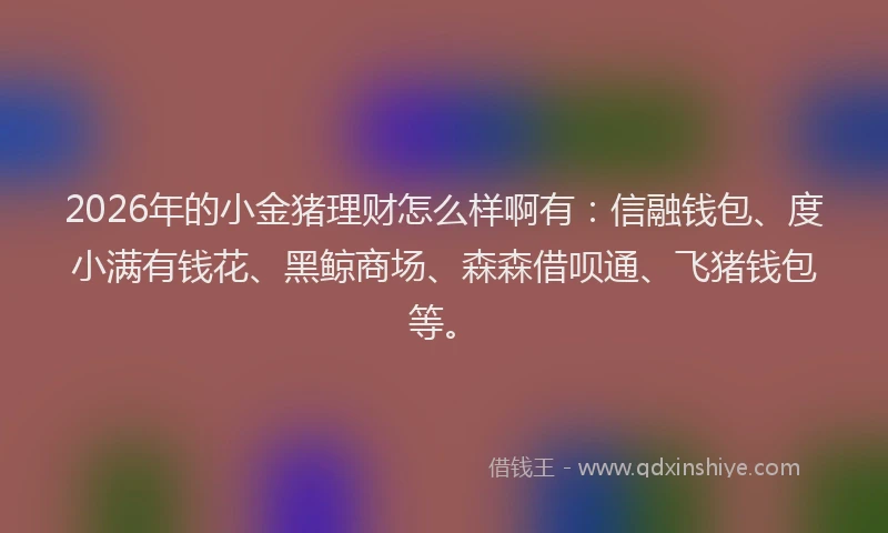 2026年的小金猪理财怎么样啊有：信融钱包、度小满有钱花、黑鲸商场、森森借呗通、飞猪钱包等。