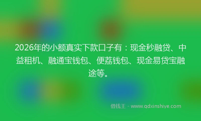 2026年的小额真实下款口子有:现金秒融贷、中益租机、融通宝钱包、便荔钱包、现金易贷宝融途等。