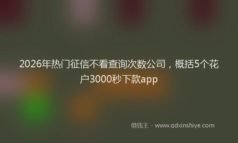 2026年热门征信不看查询次数公司，概括5个花户3000秒下款app