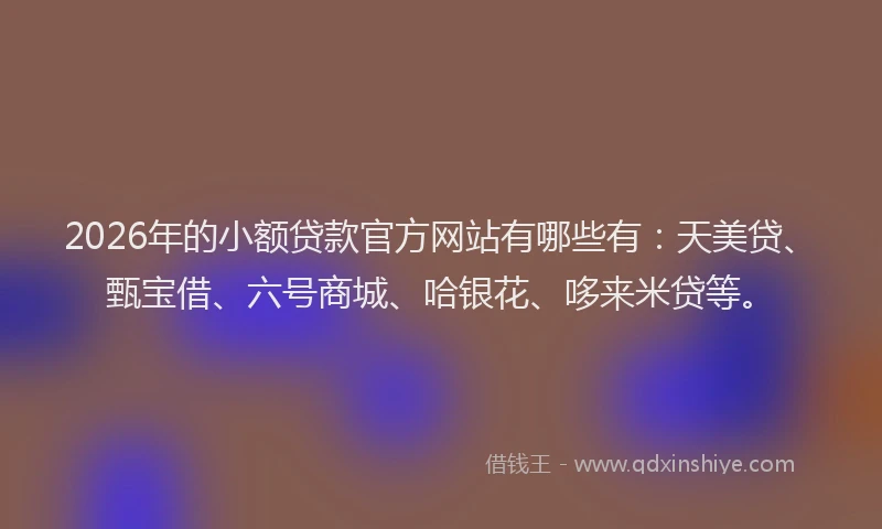 2026年的小额贷款官方网站有哪些有：天美贷、甄宝借、六号商城、哈银花、哆来米贷等。