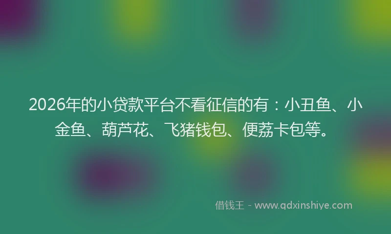 2026年的小贷款平台不看征信的有：小丑鱼、小金鱼、葫芦花、飞猪钱包、便荔卡包等。