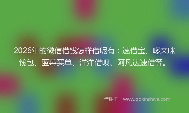 2026年的微信借钱怎样借呢有：速借宝、哆来咪钱包、蓝莓买单、洋洋借呗、阿凡达速借等。