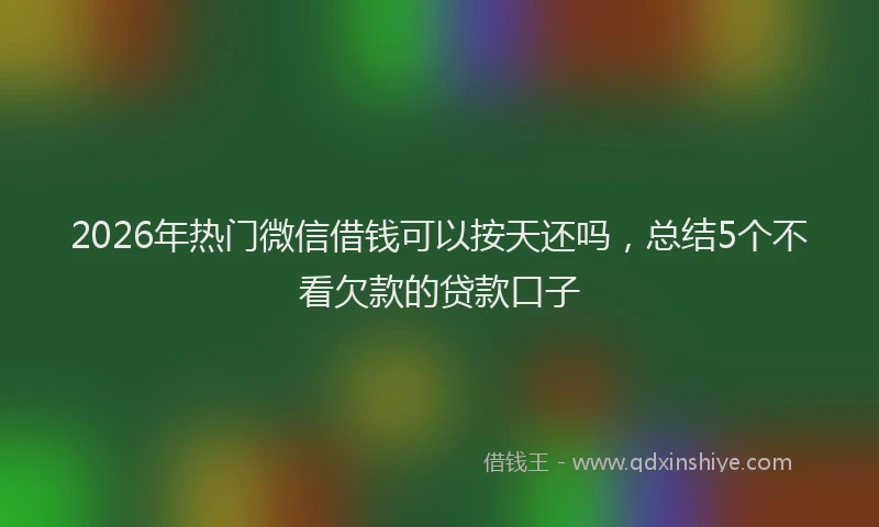2026年热门微信借钱可以按天还吗,总结5个不看欠款的贷款口子