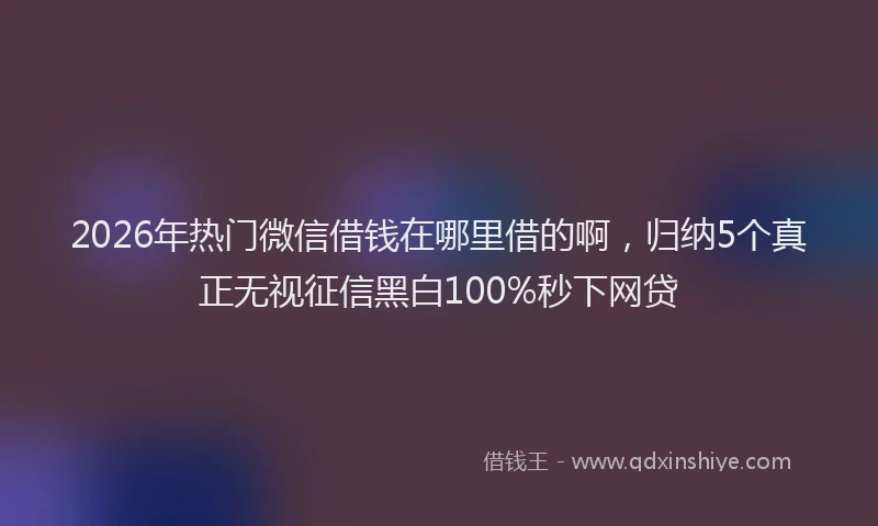2026年热门微信借钱在哪里借的啊，归纳5个真正无视征信黑白100%秒下网贷