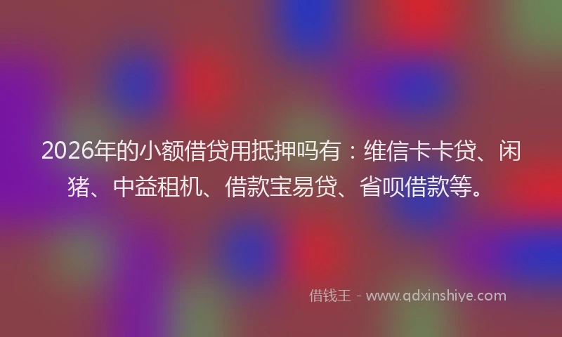 2026年的小额借贷用抵押吗有：维信卡卡贷、闲猪、中益租机、借款宝易贷、省呗借款等。