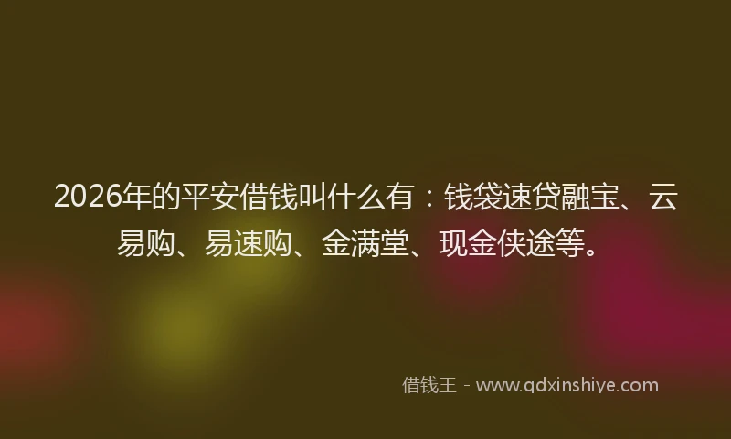 2026年的平安借钱叫什么有：钱袋速贷融宝、云易购、易速购、金满堂、现金侠途等。