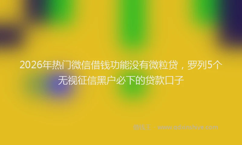 2026年热门微信借钱功能没有微粒贷，罗列5个无视征信黑户必下的贷款口子