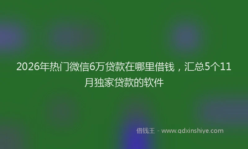 2026年热门微信6万贷款在哪里借钱，汇总5个11月独家贷款的软件