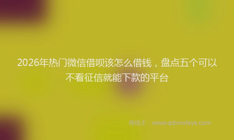 2026年热门微信借呗该怎么借钱，盘点五个可以不看征信就能下款的平台