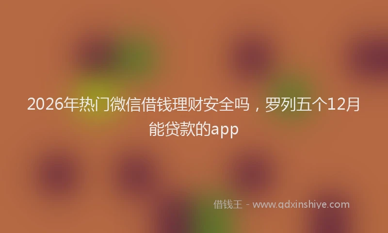 2026年热门微信借钱理财安全吗,罗列五个12月能贷款的app