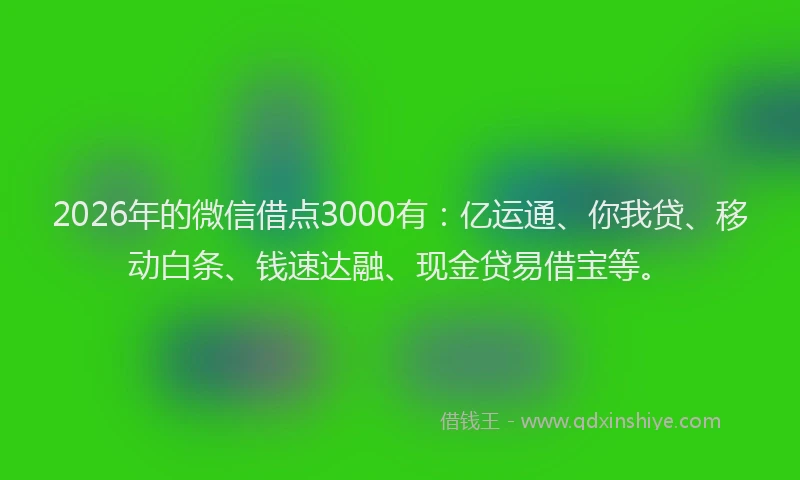 2026年的微信借点3000有：亿运通、你我贷、移动白条、钱速达融、现金贷易借宝等。