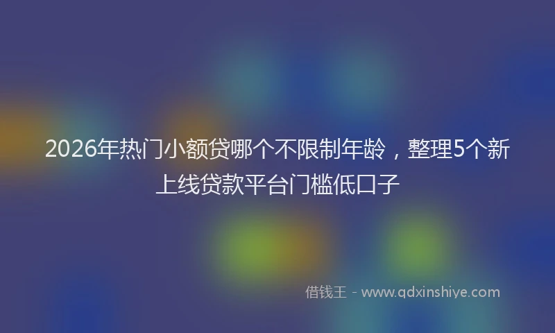 2026年热门小额贷哪个不限制年龄，整理5个新上线贷款平台门槛低口子